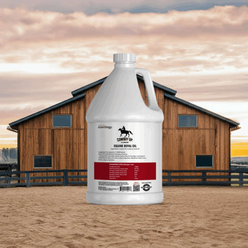 Cowboy Up™ Equine Royal Oil