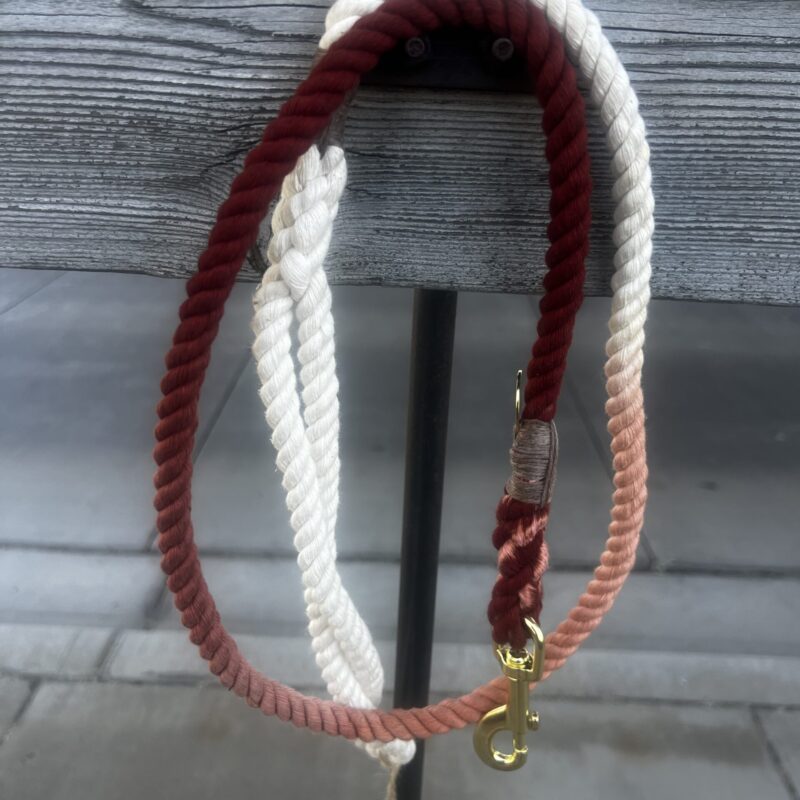 The Arizona Cotton Rope Dog Leash, Standard 5FT