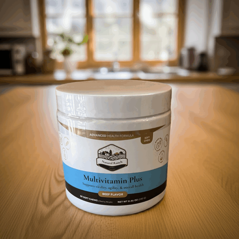Multivitamin soft chew