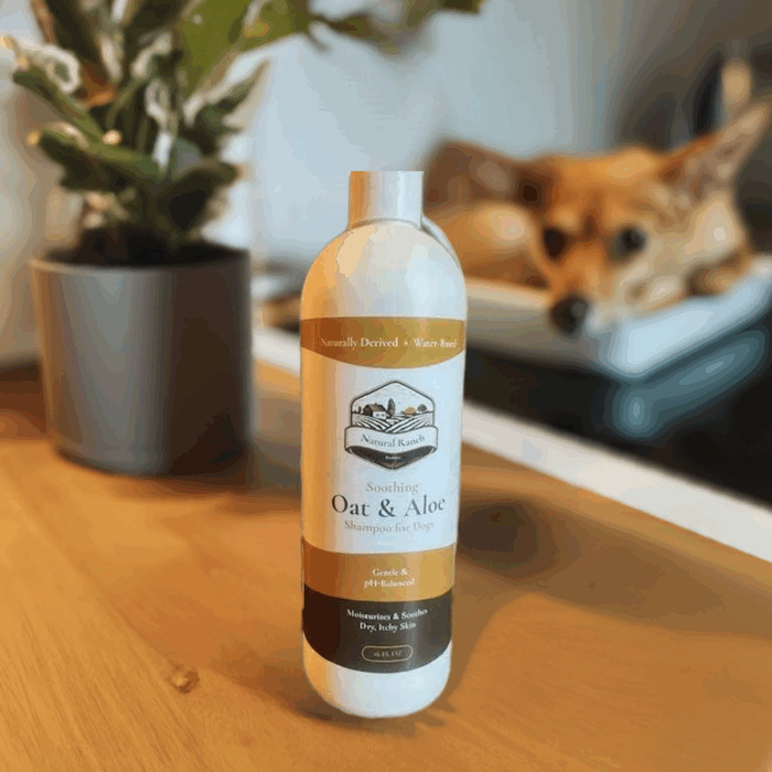 Oat & Aloe Shampoo for Dogs