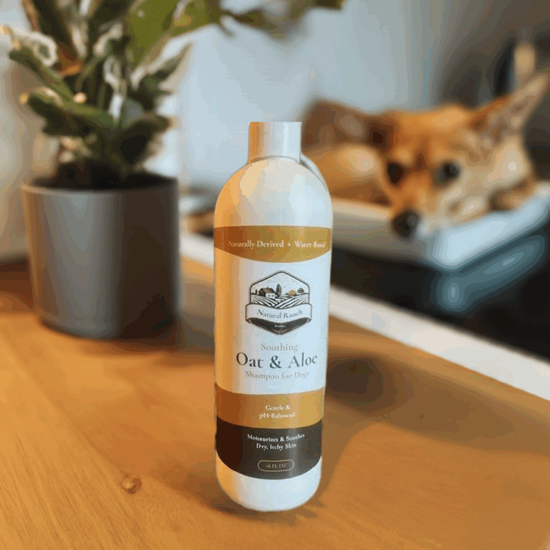 Oat & Aloe Shampoo for Dogs