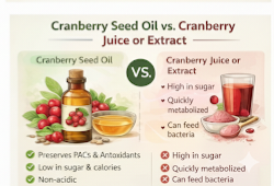 Comparison of cranberry seed oil versus cranberry juice for dogs and urinary health support