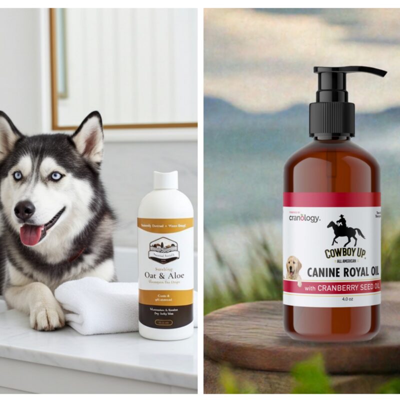 Skin & Coat Defense Duo – The "Inside-Out" Itch Protocol