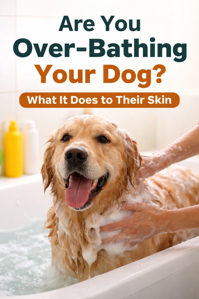 Are you over-bathing your dog - Golden Retriever being bathed showing how frequent washing affects the canine skin barrier