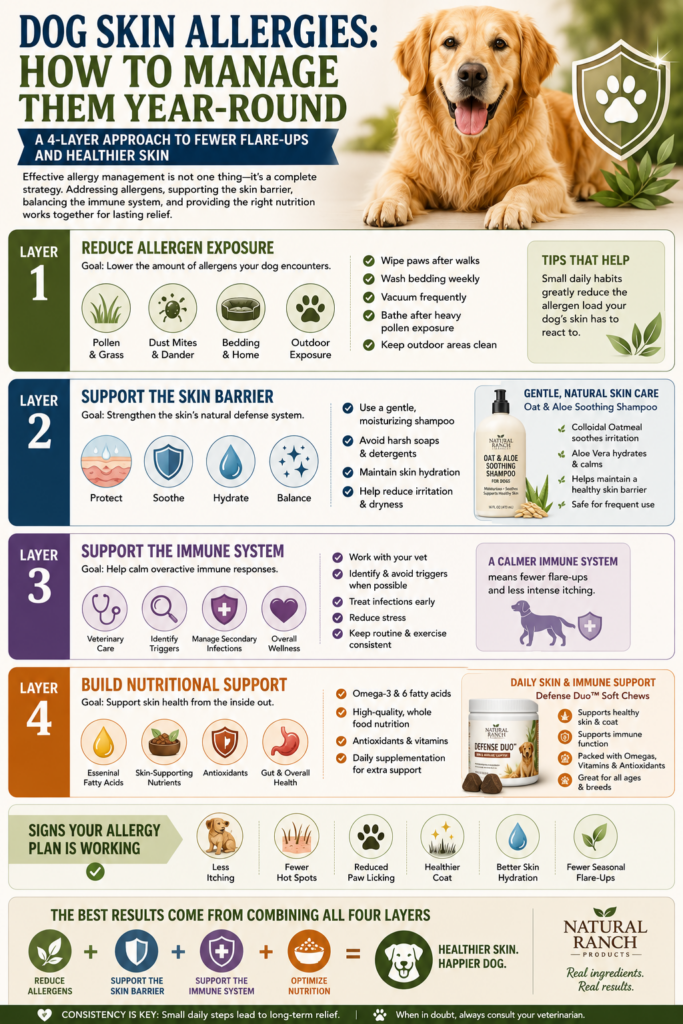 Educational infographic titled "Dog Skin Allergies: How to Manage dog skin allergies Them Year-Round." The graphic outlines a four-layer allergy management plan including allergen reduction, skin barrier support, immune system support, and nutritional support. Features a golden retriever, skin health icons, Natural Ranch Oat & Aloe Dog Shampoo, multivitamins soft chews, and signs of improvement such as less itching, fewer hot spots, reduced paw licking, healthier coat, and better skin hydration. Designed in a clean Pinterest-style veterinary wellness format.Dog skin Allergies