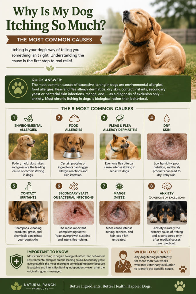 Natural Ranch Products infographic explaining the eight most common causes of itching in dogs, including environmental allergies, food allergies, fleas, dry skin, contact irritants, yeast infections, mange, and anxiety, with guidance on when to see a veterinarian.